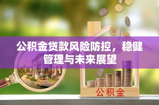 乌兰公积金贷款风险防控，稳健管理与未来展望