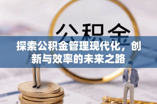 乌兰探索公积金管理现代化，创新与效率的未来之路