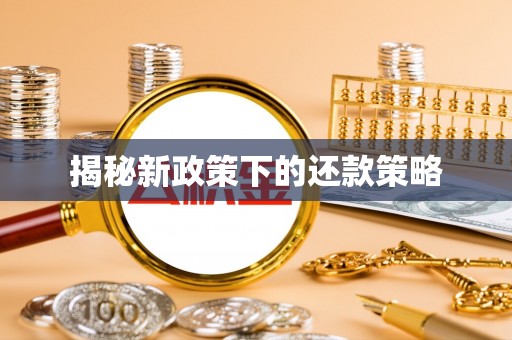 乌兰揭秘新政策下的还款策略