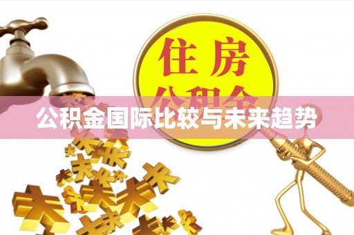 乌兰公积金国际比较与未来趋势