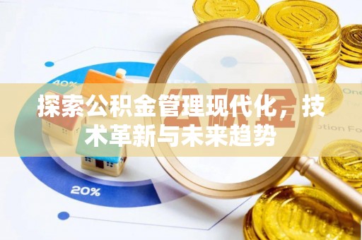 乌兰探索公积金管理现代化，技术革新与未来趋势