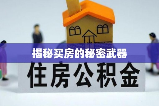 乌兰揭秘买房的秘密武器