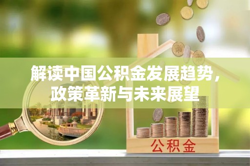 乌兰解读中国公积金发展趋势，政策革新与未来展望