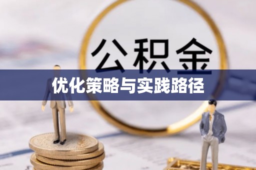 乌兰优化策略与实践路径
