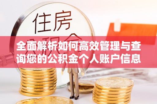 乌兰全面解析如何高效管理与查询您的公积金个人账户信息