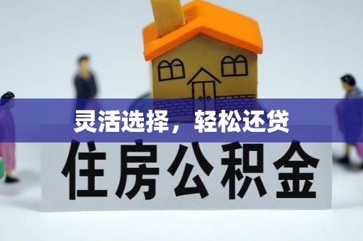 乌兰灵活选择，轻松还贷