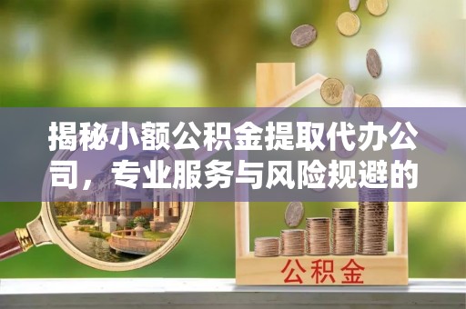 乌兰揭秘小额公积金提取代办公司，专业服务与风险规避的平衡艺术