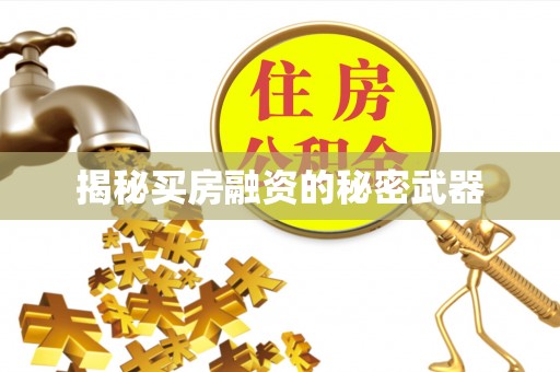 乌兰揭秘买房融资的秘密武器
