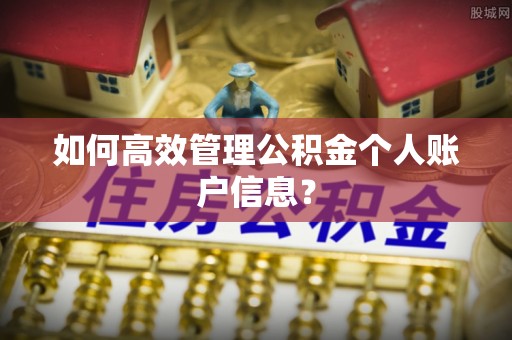 乌兰如何高效管理公积金个人账户信息？