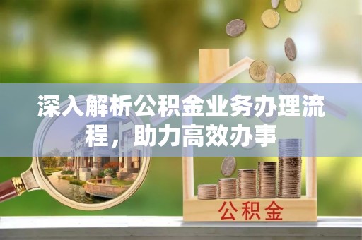 乌兰深入解析公积金业务办理流程，助力高效办事