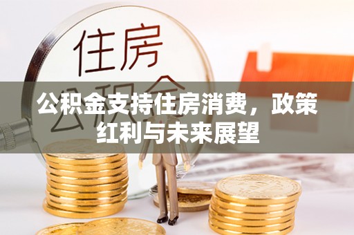 乌兰公积金支持住房消费，政策红利与未来展望