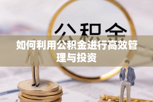 乌兰如何利用公积金进行高效管理与投资