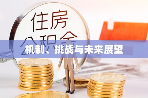 乌兰机制、挑战与未来展望