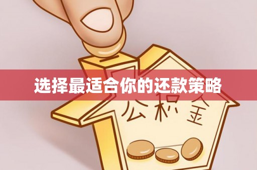 乌兰选择最适合你的还款策略