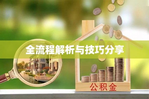 乌兰全流程解析与技巧分享