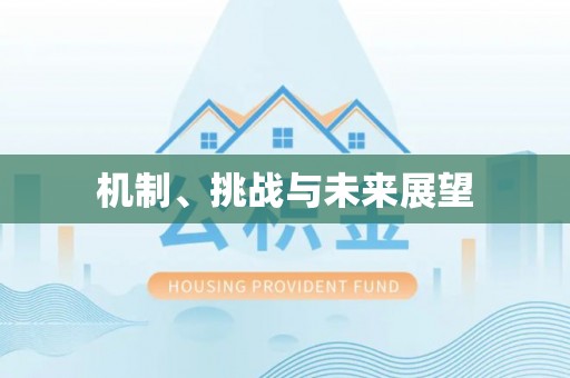 乌兰机制、挑战与未来展望